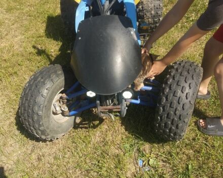 Башан Другая, объемом двигателя 0 л и пробегом 0 тыс. км за 312 $, фото 4 на Automoto.ua