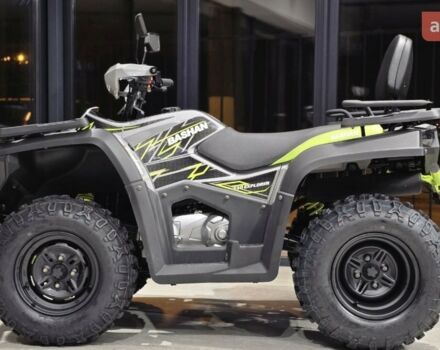 Башан Explorer 330, объемом двигателя 0.27 л и пробегом 0 тыс. км за 4100 $, фото 5 на Automoto.ua