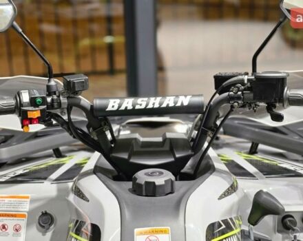 Башан Explorer 330, объемом двигателя 0.27 л и пробегом 0 тыс. км за 3950 $, фото 26 на Automoto.ua