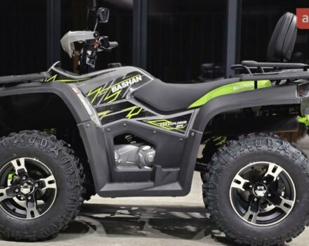 Башан Explorer 330, объемом двигателя 0.27 л и пробегом 0 тыс. км за 4290 $, фото 33 на Automoto.ua