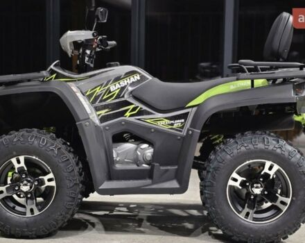 Башан Explorer 330, об'ємом двигуна 0.27 л та пробігом 0 тис. км за 4290 $, фото 33 на Automoto.ua