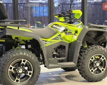 Башан Explorer 330, объемом двигателя 0.27 л и пробегом 0 тыс. км за 4990 $, фото 33 на Automoto.ua