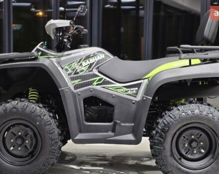 Башан Explorer 330, объемом двигателя 0.27 л и пробегом 0 тыс. км за 4690 $, фото 18 на Automoto.ua