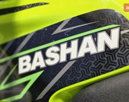 Башан Explorer 330, объемом двигателя 0.27 л и пробегом 0 тыс. км за 4990 $, фото 42 на Automoto.ua