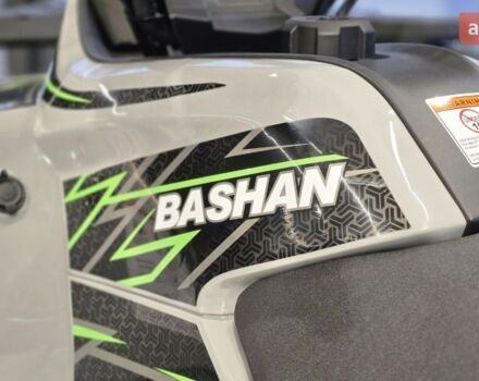 Башан Explorer 330, об'ємом двигуна 0.27 л та пробігом 0 тис. км за 4990 $, фото 18 на Automoto.ua