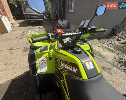 Зелений Башан Explorer 330, об'ємом двигуна 0.3 л та пробігом 300 тис. км за 4000 $, фото 23 на Automoto.ua