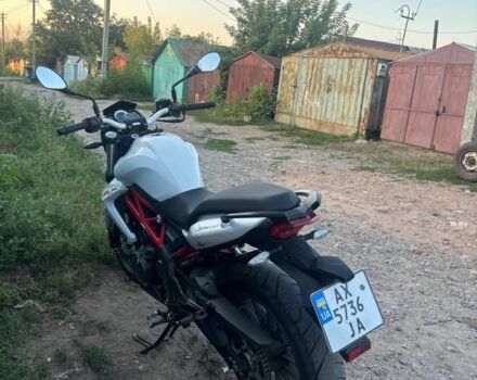 Бенелли 3302, объемом двигателя 0.3 л и пробегом 0 тыс. км за 2800 $, фото 2 на Automoto.ua