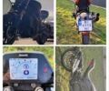 Бенелли 502C, объемом двигателя 0.5 л и пробегом 4 тыс. км за 4600 $, фото 3 на Automoto.ua