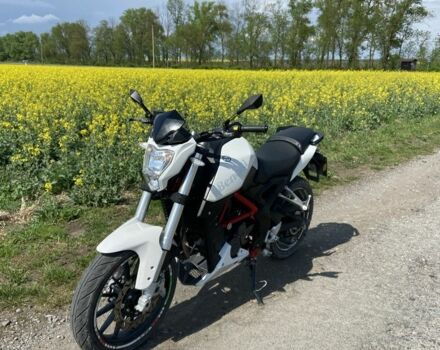 Бенеллі ТНТ, об'ємом двигуна 0.25 л та пробігом 0 тис. км за 1500 $, фото 1 на Automoto.ua