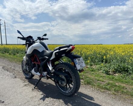 Бенеллі ТНТ, об'ємом двигуна 0.25 л та пробігом 0 тис. км за 1500 $, фото 2 на Automoto.ua