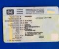 Сірий Бодекс КІС, об'ємом двигуна 0 л та пробігом 40 тис. км за 46000 $, фото 49 на Automoto.ua