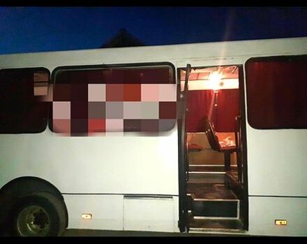 Білий Богдан А-091, об'ємом двигуна 4.6 л та пробігом 0 тис. км за 5000 $, фото 1 на Automoto.ua