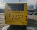 Жовтий Богдан А-093, об'ємом двигуна 4.57 л та пробігом 500 тис. км за 9000 $, фото 2 на Automoto.ua