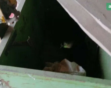 Бомет CK-1, объемом двигателя 0 л и пробегом 0 тыс. км за 599 $, фото 1 на Automoto.ua