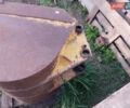 Синий БОРЭКС 2201, объемом двигателя 4.75 л и пробегом 100 тыс. км за 11100 $, фото 10 на Automoto.ua