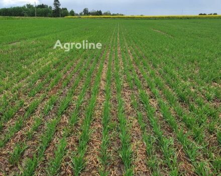 Красный Bourgault Другая, объемом двигателя 0 л и пробегом 0 тыс. км за 215688 $, фото 4 на Automoto.ua