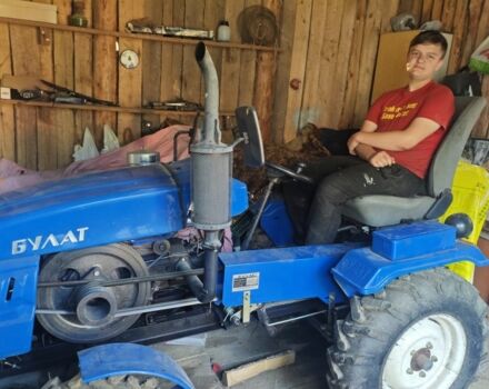 Синий Булат 160, объемом двигателя 0 л и пробегом 15 тыс. км за 1800 $, фото 3 на Automoto.ua