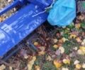 Булат 185, об'ємом двигуна 0 л та пробігом 0 тис. км за 2000 $, фото 4 на Automoto.ua