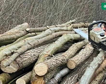 Булат Т200, об'ємом двигуна 0 л та пробігом 0 тис. км за 2700 $, фото 17 на Automoto.ua