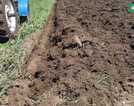 Булат Т200, об'ємом двигуна 0 л та пробігом 0 тис. км за 1964 $, фото 4 на Automoto.ua