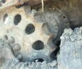 ЧТЗ Т-170, объемом двигателя 0 л и пробегом 0 тыс. км за 8000 $, фото 5 на Automoto.ua
