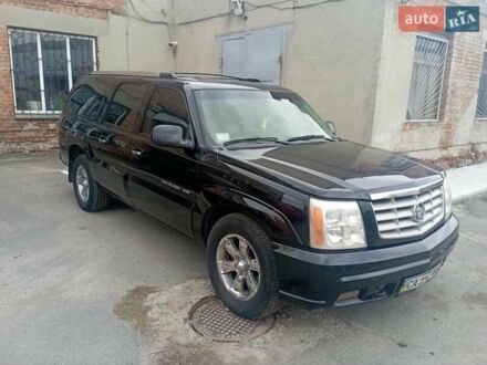 Каділак Ескалейд 2006 у Черкасах на Automoto.ua Каділак Ескалейд, об'ємом двигуна 6 л та пробігом 261 тис. км за 10500 $, фото 1 на Automoto.ua