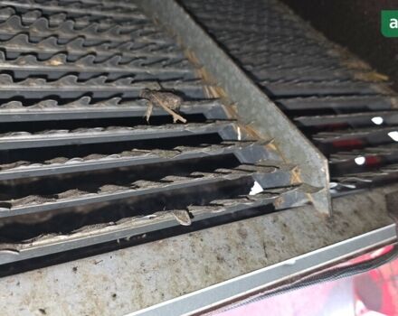 Кейс 1660, об'ємом двигуна 0 л та пробігом 0 тис. км за 45850 $, фото 48 на Automoto.ua