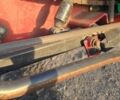 Кейс 2020, объемом двигателя 0 л и пробегом 0 тыс. км за 19000 $, фото 2 на Automoto.ua