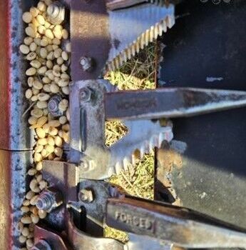 Кейс 2020, объемом двигателя 0 л и пробегом 0 тыс. км за 20943 $, фото 4 на Automoto.ua