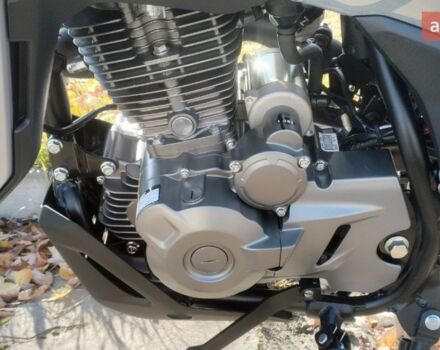 купити нове авто СФ мото 230 Lite Dual 2025 року від офіційного дилера Corsar СФ мото фото