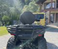 Зелений СФ мото CFORCE 450L, об'ємом двигуна 0.45 л та пробігом 999 тис. км за 5450 $, фото 7 на Automoto.ua