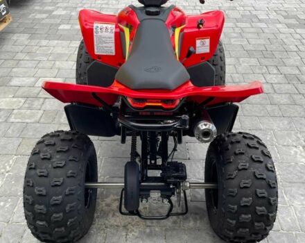 СФ мото CForce 110, об'ємом двигуна 0.11 л та пробігом 0 тис. км за 2250 $, фото 21 на Automoto.ua