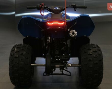 купить новое авто СФ мото CForce 110 2025 года от официального дилера Вояж Motorsports СФ мото фото