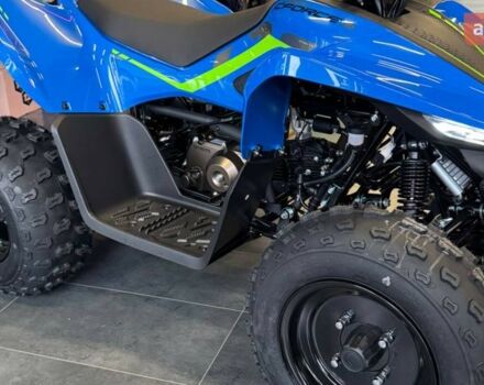 купити нове авто СФ мото CForce 110 2025 року від офіційного дилера Вояж Motorsports СФ мото фото