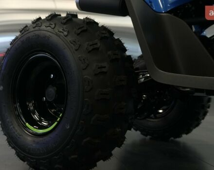 купить новое авто СФ мото CForce 110 2025 года от официального дилера Вояж Motorsports СФ мото фото