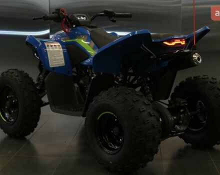 купить новое авто СФ мото CForce 110 2025 года от официального дилера Вояж Motorsports СФ мото фото