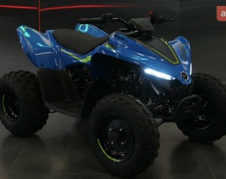 купить новое авто СФ мото CForce 110 2025 года от официального дилера Вояж Motorsports СФ мото фото