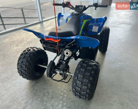 Синий СФ мото CForce 110, объемом двигателя 0.1 л и пробегом 1 тыс. км за 2250 $, фото 5 на Automoto.ua