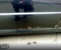 Черный Чери Амулет, объемом двигателя 1.6 л и пробегом 248 тыс. км за 1570 $, фото 12 на Automoto.ua
