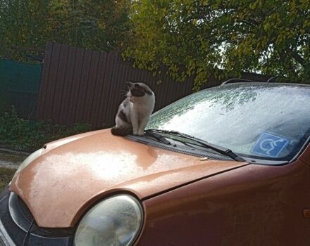 Коричневый Чери Джагги, объемом двигателя 1 л и пробегом 79 тыс. км за 2500 $, фото 1 на Automoto.ua