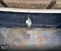 Білий Шевроле Авео, об'ємом двигуна 1.5 л та пробігом 200 тис. км за 2600 $, фото 3 на Automoto.ua