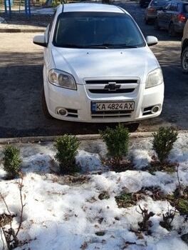Белый Шевроле Авео, объемом двигателя 1.6 л и пробегом 217 тыс. км за 2999 $, фото 1 на Automoto.ua