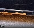 Черный Шевроле Авео, объемом двигателя 1.5 л и пробегом 166 тыс. км за 3800 $, фото 4 на Automoto.ua