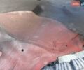 Красный Шевроле Авео, объемом двигателя 1.5 л и пробегом 173 тыс. км за 4500 $, фото 11 на Automoto.ua