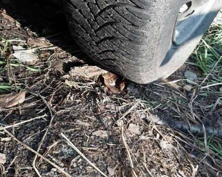 Серый Шевроле Авео, объемом двигателя 1.5 л и пробегом 320 тыс. км за 2000 $, фото 1 на Automoto.ua