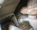 Серый Шевроле Авео, объемом двигателя 1.6 л и пробегом 177 тыс. км за 1900 $, фото 15 на Automoto.ua