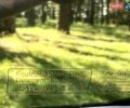 Синий Шевроле Авео, объемом двигателя 1.6 л и пробегом 247 тыс. км за 4250 $, фото 32 на Automoto.ua
