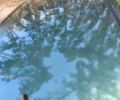 Зеленый Шевроле Авео, объемом двигателя 1.5 л и пробегом 168 тыс. км за 2500 $, фото 10 на Automoto.ua