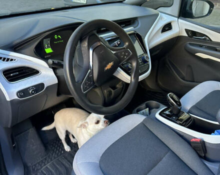 Сірий Шевроле Bolt EV, об'ємом двигуна 0 л та пробігом 50 тис. км за 15100 $, фото 6 на Automoto.ua