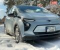 Синий Шевроле Bolt EV, объемом двигателя 0 л и пробегом 22 тыс. км за 18700 $, фото 1 на Automoto.ua